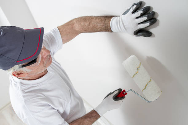 Best Basement Mold Removal  in Baldn, WI