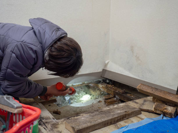 Best Mold Remediation for Rental Properties  in Baldn, WI