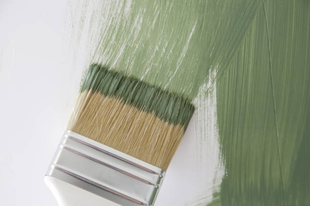 Reliable Baldwin, WI Mold Removal Solutions
