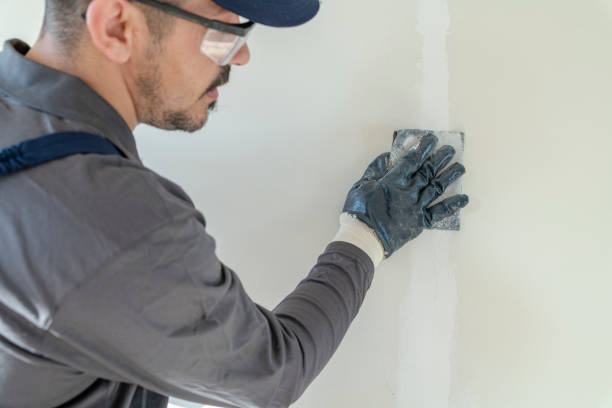 Best Attic Mold Removal  in Baldn, WI