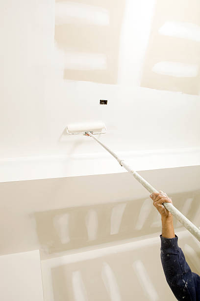 Best Environmental Consulting for Mold Prevention  in Baldn, WI