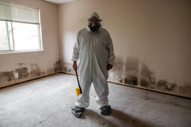 Best Crawl Space Mold Remediation  in Baldn, WI