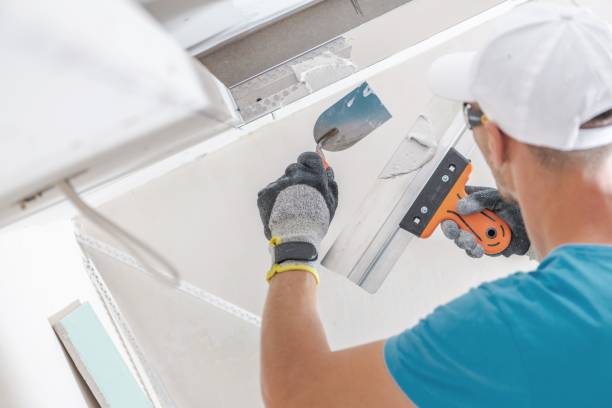 Best Forensic Mold Investigation  in Baldn, WI